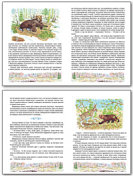Книга «Медвежонок Топоток» для детей - 2